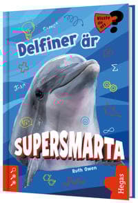 Delfiner är supersmarta