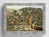 Peru, Mariano Vivanco