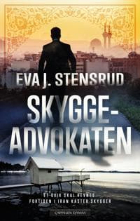 Skyggeadvokaten