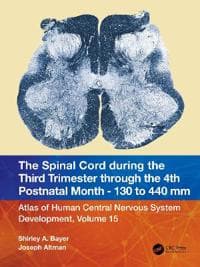 The Spinal Cord during the Middle Second Trimester through the 4th Postnatal Month 130- to 440-mm Crown-Rump Lengths