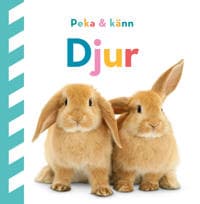 Peka och känn. Djur