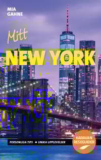 Mitt New York