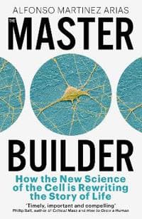 The Master Builder