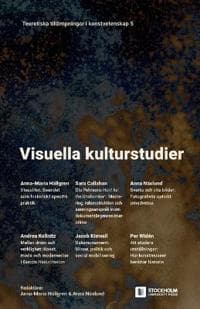 Visuella kulturstudier