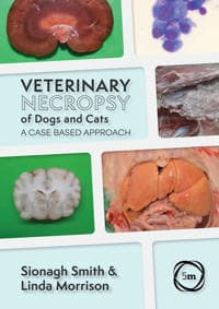 Veterinary Necropsy of Dogs and Cats