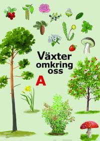 Växter omkring oss A