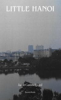 Little Hanoi