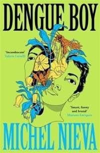 Dengue Boy