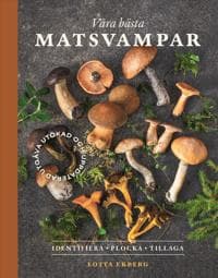 Våra bästa matsvampar : identifiera, plocka, tillaga