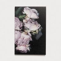 Martin Maeller: Nervous Dust