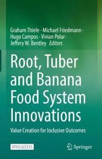 Root, Tuber and Banana Food System Innovations