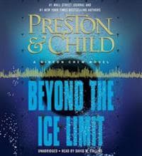 Beyond the Ice Limit