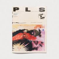 P L S #38 – ancestries
