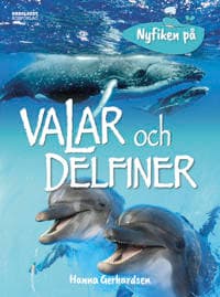 Nyfiken på valar och delfiner
