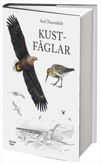 Kustfåglar