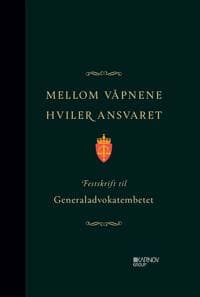 Mellom våpnene hviler ansvaret