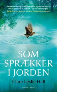Som sprækker i jorden