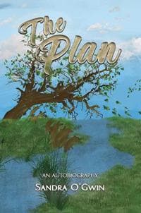 The Plan