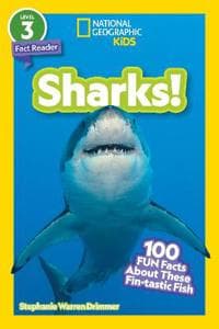 Sharks!