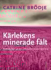 Kärlekens minerade fält : Berättare, klass och kön i tolv samtidsromaner 1912--2013