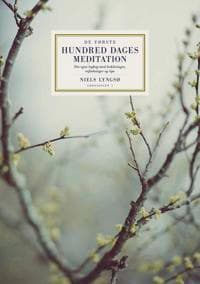 De første hundred dages meditation