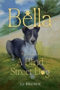 Bella, the journey of A Blind Street Dog