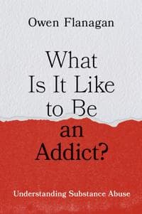 What Is It Like to Be an Addict?