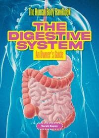 The Digestive System