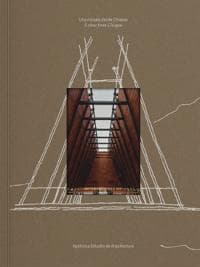 Apaloosa Estudio de Arquitectura: A View from Chiapas