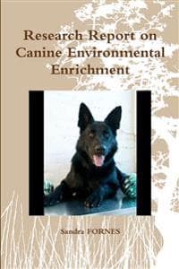 Research Report on Canine Environmental Enrichment
