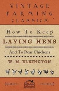How to Keep Laying Hens and to Rear Chickens
