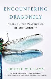 Encountering Dragonfly