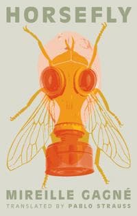 Horsefly