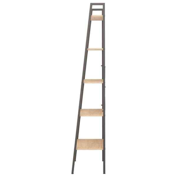vidaXL stigereol med 5 hylder 56x35x174 cm lysebrun og sort
