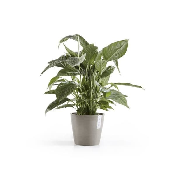 Vaso Amsterdam - Ekokrukor - 20x17,5CM - Vit - Talpa Con Riserva Acqua