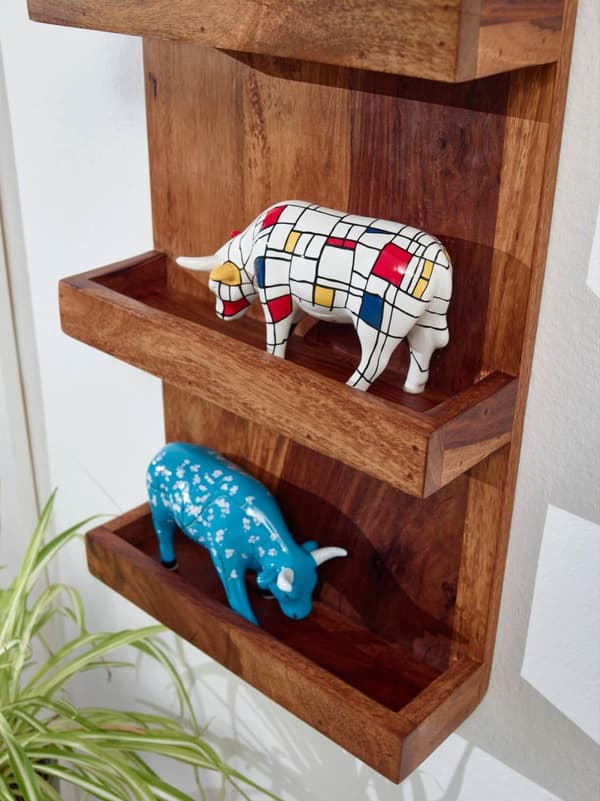 Rootz væghylde 30x80x10 cm massiv sheesham træ hængende hylde moderne svævende - Stor design svævende hylde - Hylde Hængende Stue - bogreol væg