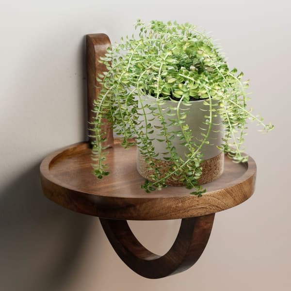Rootz Modern Design -seinähylly - Kelluva hylly - Käsintehty - Luonnonpuun syy - Säilytystila kasveille ja sisustukselle - 30cm x 33cm x 30cm