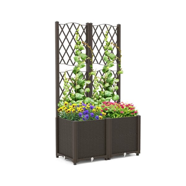 Højbed med Espalier, 80x40x140 cm, Kaffe