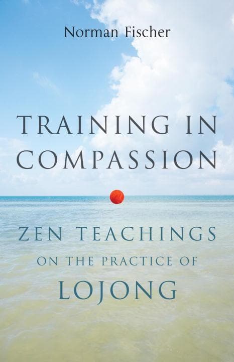 Training in Compassion 9781611800401