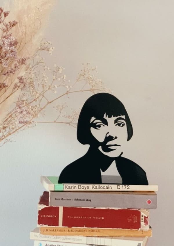 Bokstöd Karin Boye Novellix