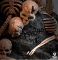 Miniatyrbild 6 av 8: Rock Iconz Statyett: Misfits 3D Vinyl Statue Horror Business 25 cm
