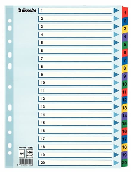 A4 pahvijakaja Esselte Mylar Indexed 1-20 /20 Cards/ 100163