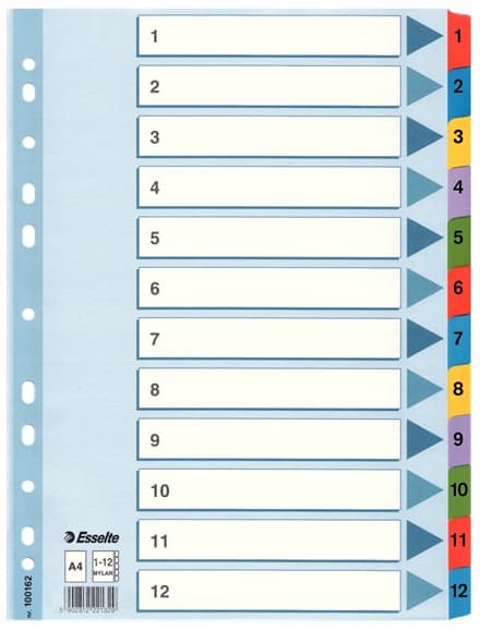 A4 pahvinjakaja Esselte Mylar Indexed 1-12 /12 Cards/ 100162