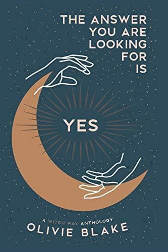 The Answer You Are Looking For Is Yes, Blake, Olivie Paperback Book Pre-Owned English
