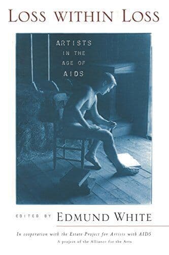 Loss Within Loss: Artists in the Age of AIDS Paperback Book Pre-Owned English