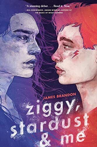 Ziggy, Stardust and Me, James Brandon Paperback Book Pre-Owned English