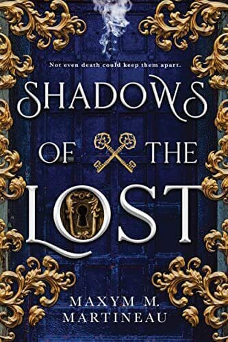 Shadows of the Lost: 1 (Guild of Ni, Martineau, Maxy Paperback Book Pre-Owned English