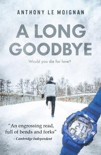 A Long Goodbye Paperback Book Pre-Owned English