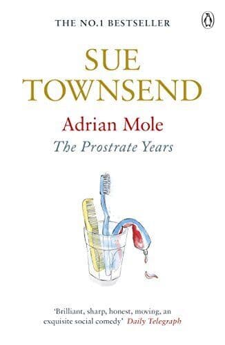 Adrian Mole: The Prostrate Years, Townsend, Sue Paperback Book Pre-Owned English