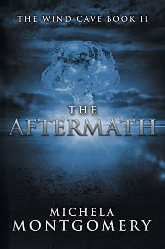 The Aftermath (Wind Cave): Wind Cav, Montgomery, Mic Paperback Book Pre-Owned English